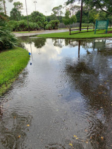 Rainy weather during Cleanup